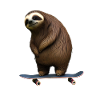 Skateboard Sloth