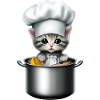 Chef Chat