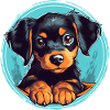 Cute puppy