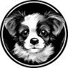 Chiot mignon
