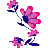 Flower Flower Plant