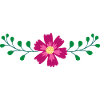 Flower Flower Plant