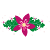 Flower Flower Plant