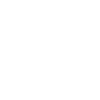 Bison