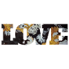 Lichen lover