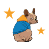 i am back