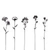 Delicate floral strokes