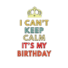 i cant keep calm its my birthday