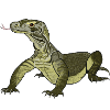 Komodowaran Varanus komodoensis Rieseneidechse