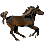 Fast Gallopieredes Horse 01