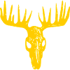 Moose skull / Moose sake