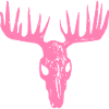 Elchschädel / Elchsake