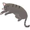 Nicht heute Katze
