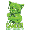 Cancer Non Hodgkin Lymphoma