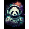 Panda Astronaut Galaxy