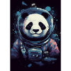 Panda Astronaut Galaxy