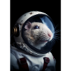 Rat Astronaut Galaxy