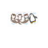 Otter Sea Otter Otter Gift
