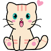 Fiido the cat