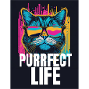 Chat Purrfect Vie