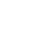 Wild Zebra Tattoo Style Lines