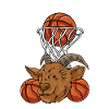 Basket-ball