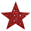 Der sozialistische Stern