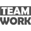 The Team Workers