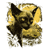 Siamese cat