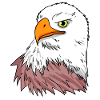 Oiseau aigle