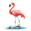Verre Flamingo