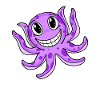 Octopus Squid