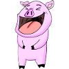 Pig laughs