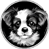 Chiot mignon