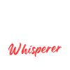 Artificial intelligence whisperer