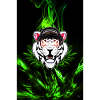 TIGER POSTER