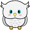 solomon the owl