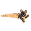 Zoooomies Frenchie