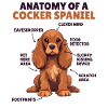 Dog Explanation Anatomy of a Cocker Spaniel