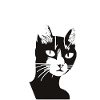 Bath Time Cute Animals Cartoon