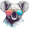 Timy the bespectacled koala
