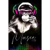 POSTER Monkey Music