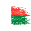 Madagascar flag used