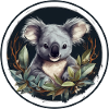Cute koala