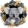 Cute koala