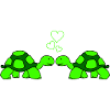 Turtle Love