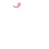Axolotl Lover Gifts