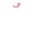 Axolotl Lover Gifts