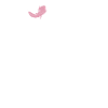 Axolotl Lover Gifts