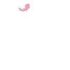 Axolotl Lover Gifts